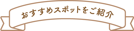 おすすめスポットをご紹介